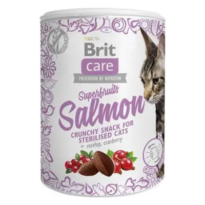 Brit Care Pamlsky pro kočky Brit Care, Superfruits Salmon, 100 g