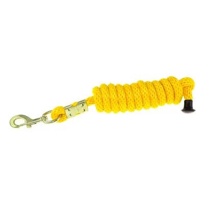 Umbria Equitazione Vodítko nylonové s klasickou karabinou Umbria Equitazione, 2 m, yellow