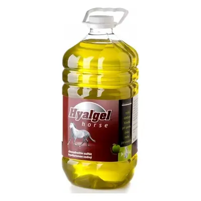 Hyalgel Sirup Hyalgel, jablečný, 5 l