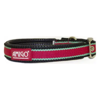 AMIGO Obojek pro psy Amigo, red/white/green/black