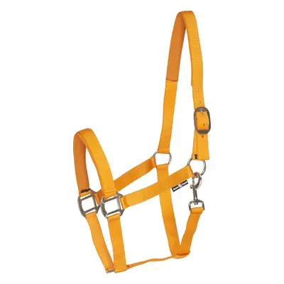 Horseguard Ohlávka se stříbrným kováním Nylon II HorseGuard, orange