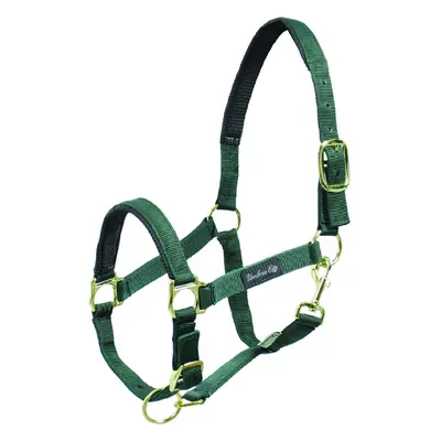 Umbria Equitazione Ohlávka nylonová Neoprene Umbria Equitazione, green