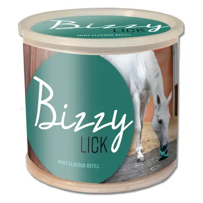 Bizzy Horse Náplň do hračky Bizzy Ball, 1 kg, máta