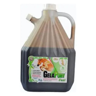 Orling Gelapony Fast Biosol Orling, 3000ml