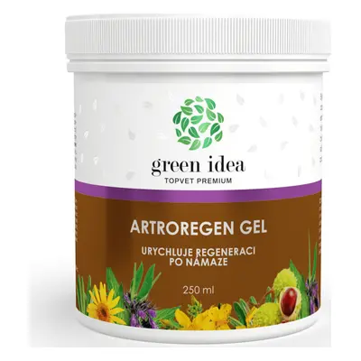 Green idea Gel artroregen GREEN IDEA, masážní, 250 ml