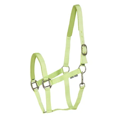 Horseguard Ohlávka se stříbrným kováním Nylon II HorseGuard, lime