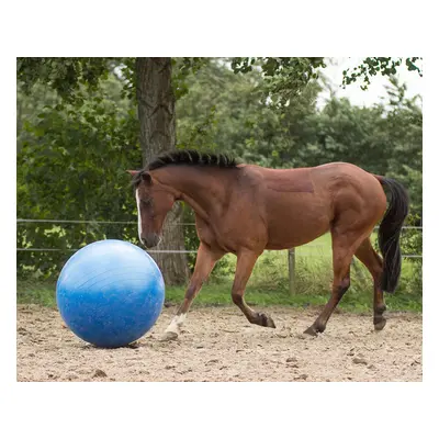 QHP Míč pro koně QHP, 80-100 cm, blue