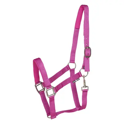 Horseguard Ohlávka se stříbrným kováním Nylon II HorseGuard, pink