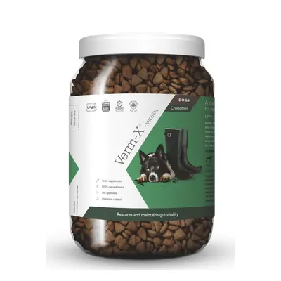 VERM-X Doplněk pro psy VERM-X, proti střevním parazitům, 650 g