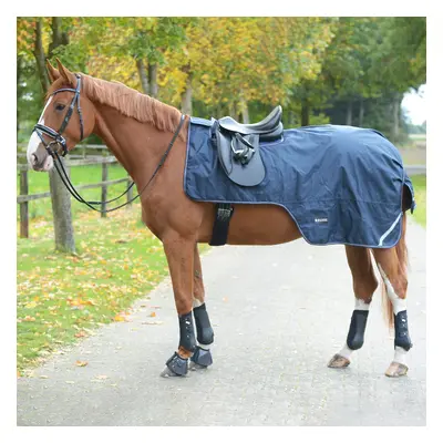 BUSSE Deka bederní Raintrainer BUSSE, 100 g, navy Délka zad: