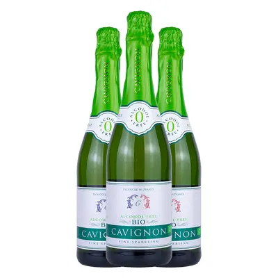 Castel Freres Castel Freres Cavignon Sparkling White BIO 0% 2+1