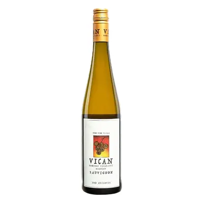 Vinařství Vican Vican Sauvignon Pozdní sběr 2023