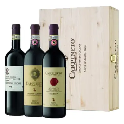 Carpineto Gallo Nero selekce vín apelace Chianti Classico