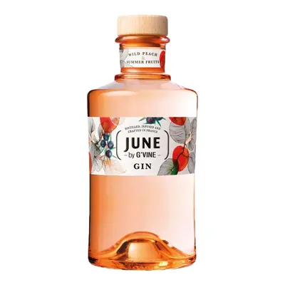 Gvine Gin Gin June Peche 0,7l 37,5%