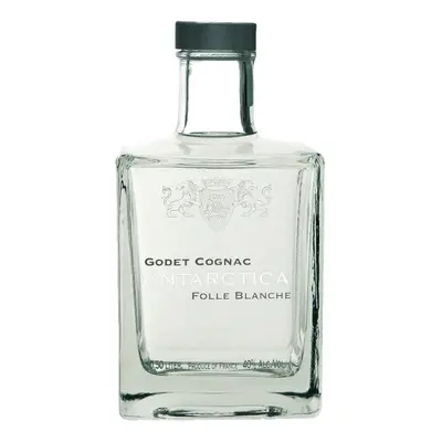 Godet Cognac Godet Antarctica 0,5l 40%