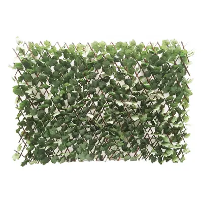 Garden King Umělý živý plot HEDERA FLEXI 200 x 100 cm