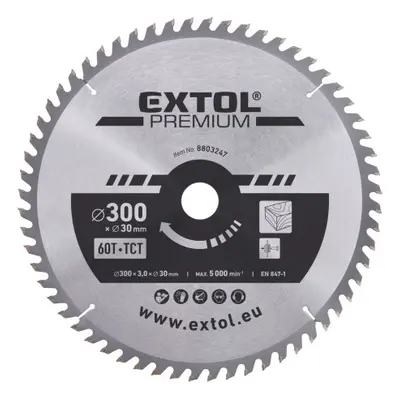 Extol Premium 8803247 kotouč pilový s SK plátky 300x2,2x30 mm, 60T