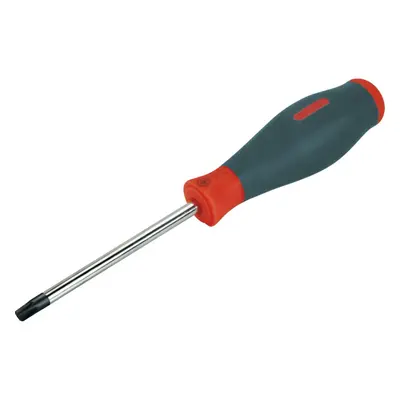 Extol Premium 8819070 šroubovák TORX, T 30x125mm, CrV