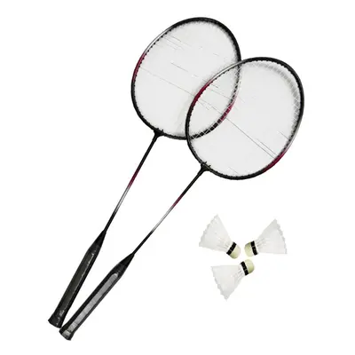 Badmintonový set MASTER Fly 2