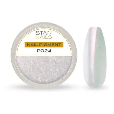 Starnails Nail Art zdobení - pigment - P024