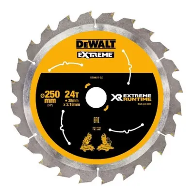 DeWALT Příslušenství - Pilový kotouč na dřevo 250x30 mm, 24 zubů DT99571