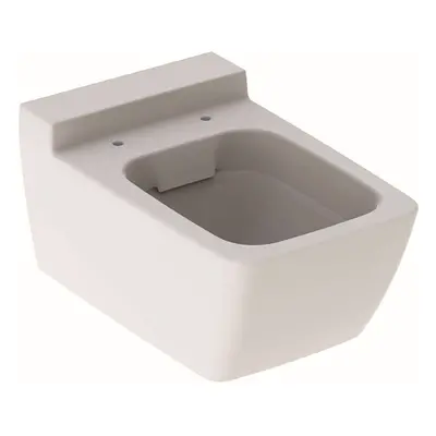 Geberit Xeno 2 - Závěsné WC, 540x350 mm, Rimfree, bílá 500.500.01.1