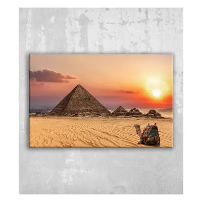 Obraz velbloud Sahara Gíza pyramidy