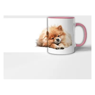 Hrnek ležící Pomeranian