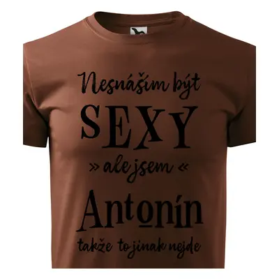 Tričko Nesnáším být sexy ale jsem Antonín - černé písmo.png