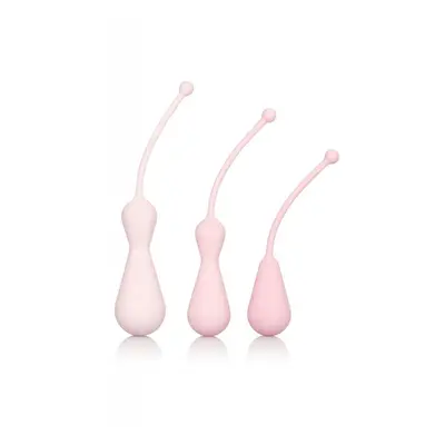 Calexotics Inspire Silicone Kegel Training Kit