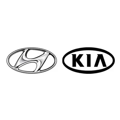 PIN kód pro vozy KIA / HYUNDAI 2021 - 2023