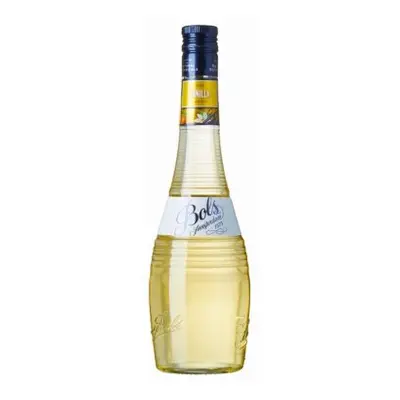 Bols Vanille 24 % 0,7 l