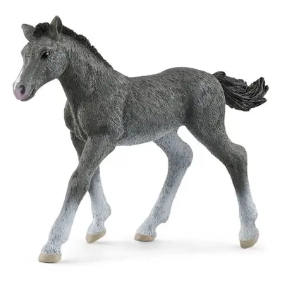 Schleich - Kůň, Trakénské hříbě