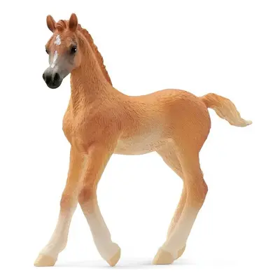 Schleich - Kůň, Arabské hříbě