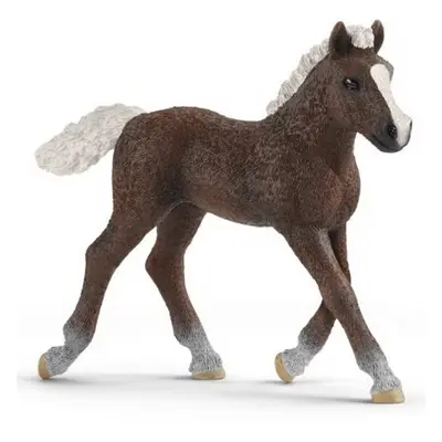 Schleich - Kůň, Schwarzwaldské hříbě