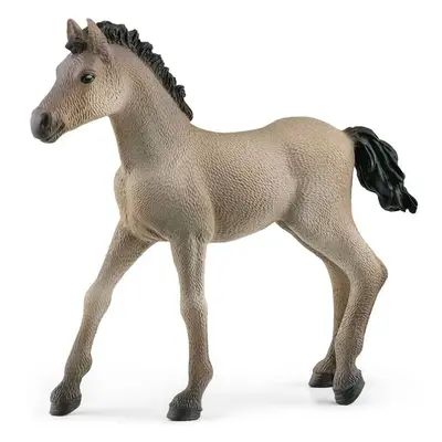 Schleich - Kůň, Criollo Definitivo hříbě