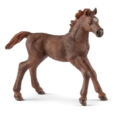 Schleich - Kůň, Anglický plnokrevník hříbě