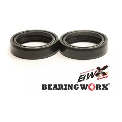 Gufera vidlice BEARING WORX FSK14882 (BEARING WORX gufera vidlice ARI117 48X58,2X8,5/10,5 mm (KA