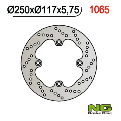 Brzdový kotouč NG Brakes NG1065 (NG brzdový kotouč zadní SUZUKI AN 650 BURGMAN 02-03 (250X117X5,