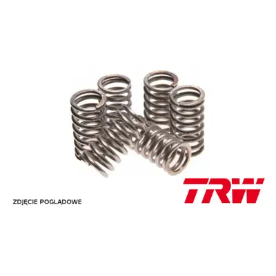 TRW ZF spojkové pružiny KAWASAKI ZR 750 ZEPHYR 96-99, ZX-9R 900 NINJA 94-97, ZXR 1200 01-06, (EB