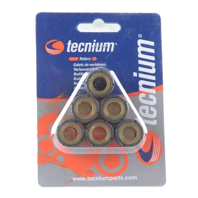 TECNIUM (VIcmA) závaží variátoru 15X12 6G 6kusů (3913) (TECNIUM (VIcmA) závaží variátoru 15X12 6