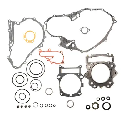 Kompletní sada těsnění včetně kompletního těsnění motoru PROX 34.2706 (PROX kompletní sada těsně
