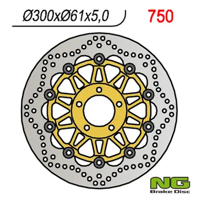 Brzdový kotouč NG Brakes NG750 (NG brzdový kotouč přední KAWASAKI ZX6R 95-02, ZR 550/750 ZEPHYR,