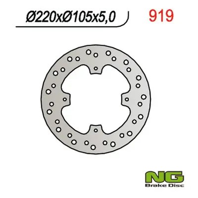 Brzdový kotouč NG Brakes NG919 (NG brzdový kotouč zadní HONDA NX 650 doMINATOR 92-04, NX 500 92-