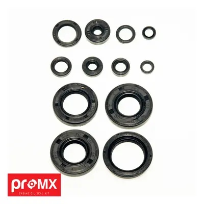 Sada gufer motoru PROMX PR0504 (PROMX sada gufer motoru YAMAHA YZ 125 (05-10) (12 kusy))