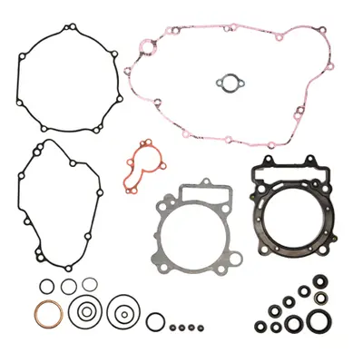Kompletní sada těsnění včetně kompletního těsnění motoru PROX 34.4406 (PROX kompletní sada těsně