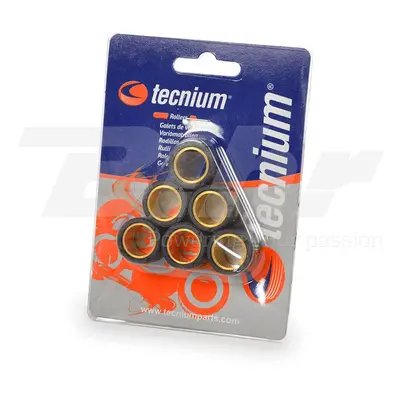 TECNIUM (VIcmA) závaží variátoru 16X13mm 5,5G 6SZT (3919) (TECNIUM (VIcmA) závaží variátoru 16X1