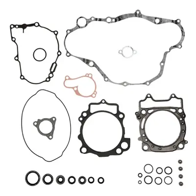 Kompletní sada těsnění včetně kompletního těsnění motoru PROX 34.2440 (PROX kompletní sada těsně
