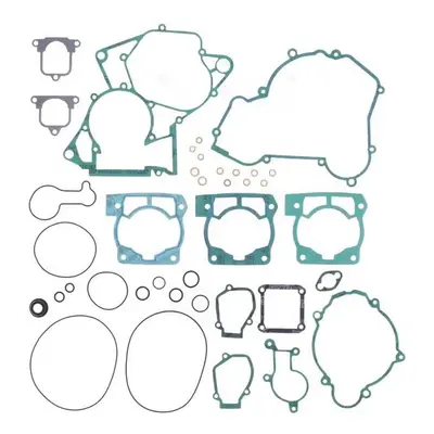 Kompletní sada těsnění CENTAURO 467A259FL (CENTAURO kompletní sada těsnění BETA 125 RR 2T 18-24)