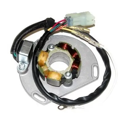 ELECTROSPORT vinutí alternátoru (stator) se světly KTM 125/200/250/300 EXC/SX/XC 06- (50W) kompl